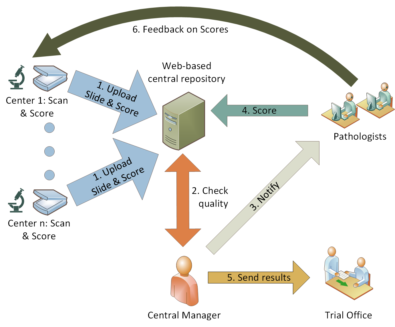 One possible workflow using the Slide Score Uploader in a multi-instutional study assessing TIL scores One possible workflow using the Slide Score Uploader in a multi-instutional study assessing TIL scores